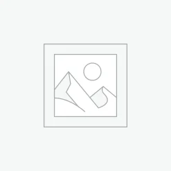 Nơi nhập dữ liệu